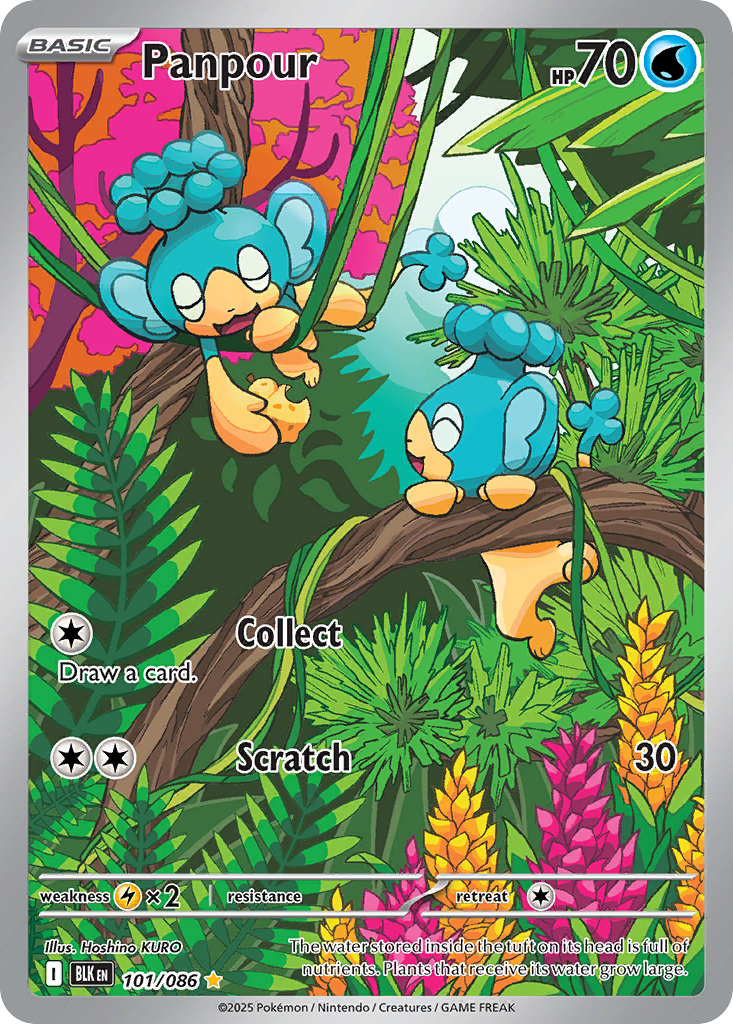 101/86 [BLK] Panpour - Illustration Rare