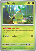 10/162 [TEF] Turtwig - Common