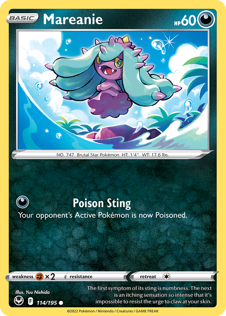 114/195 [SIT] Mareanie - Common