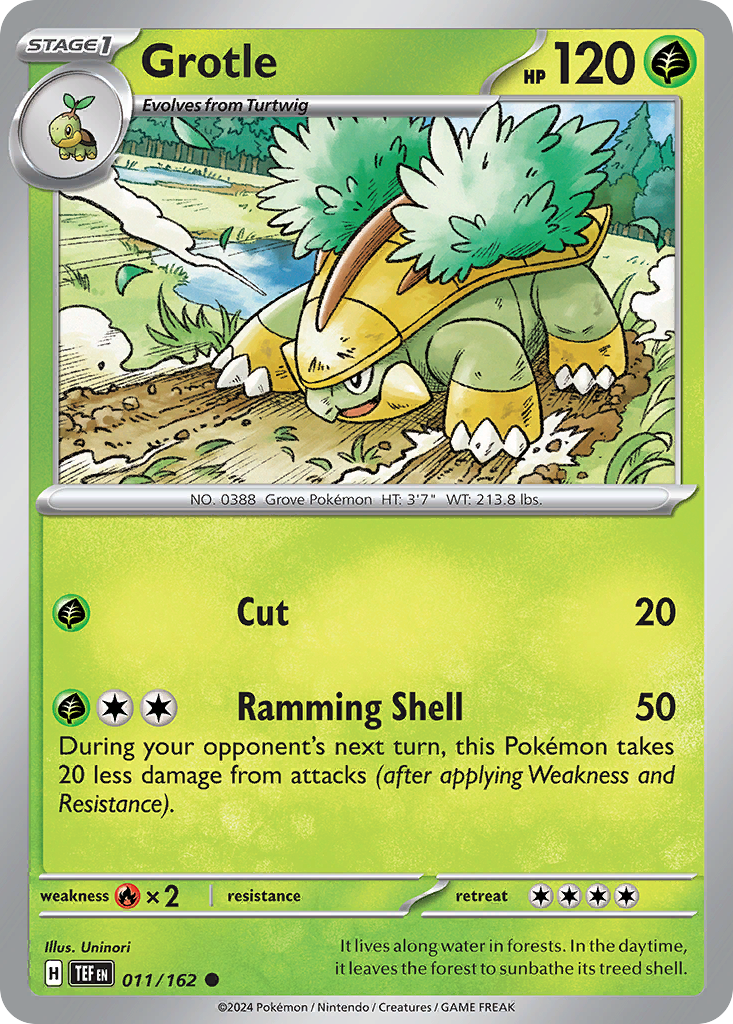 11/162 [TEF] Grotle - Common