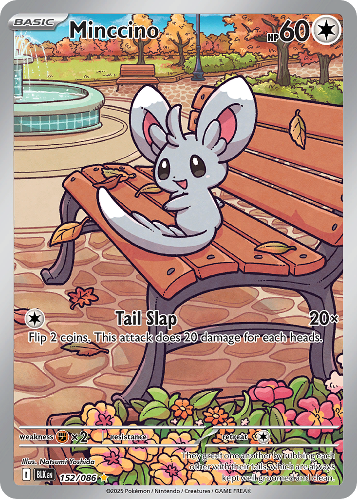 152/86 [BLK] Minccino - Illustration Rare