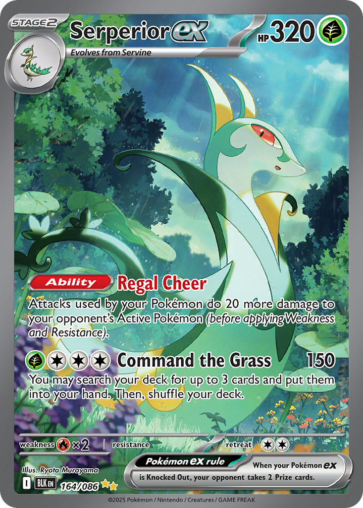 164/86 [BLK] Serperior ex - Special Illustration Rare