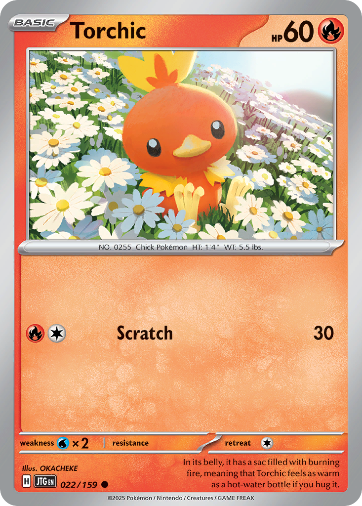 22/159 [JTG] Torchic - Common