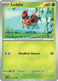 2/142 [SCR] Ledyba - Common
