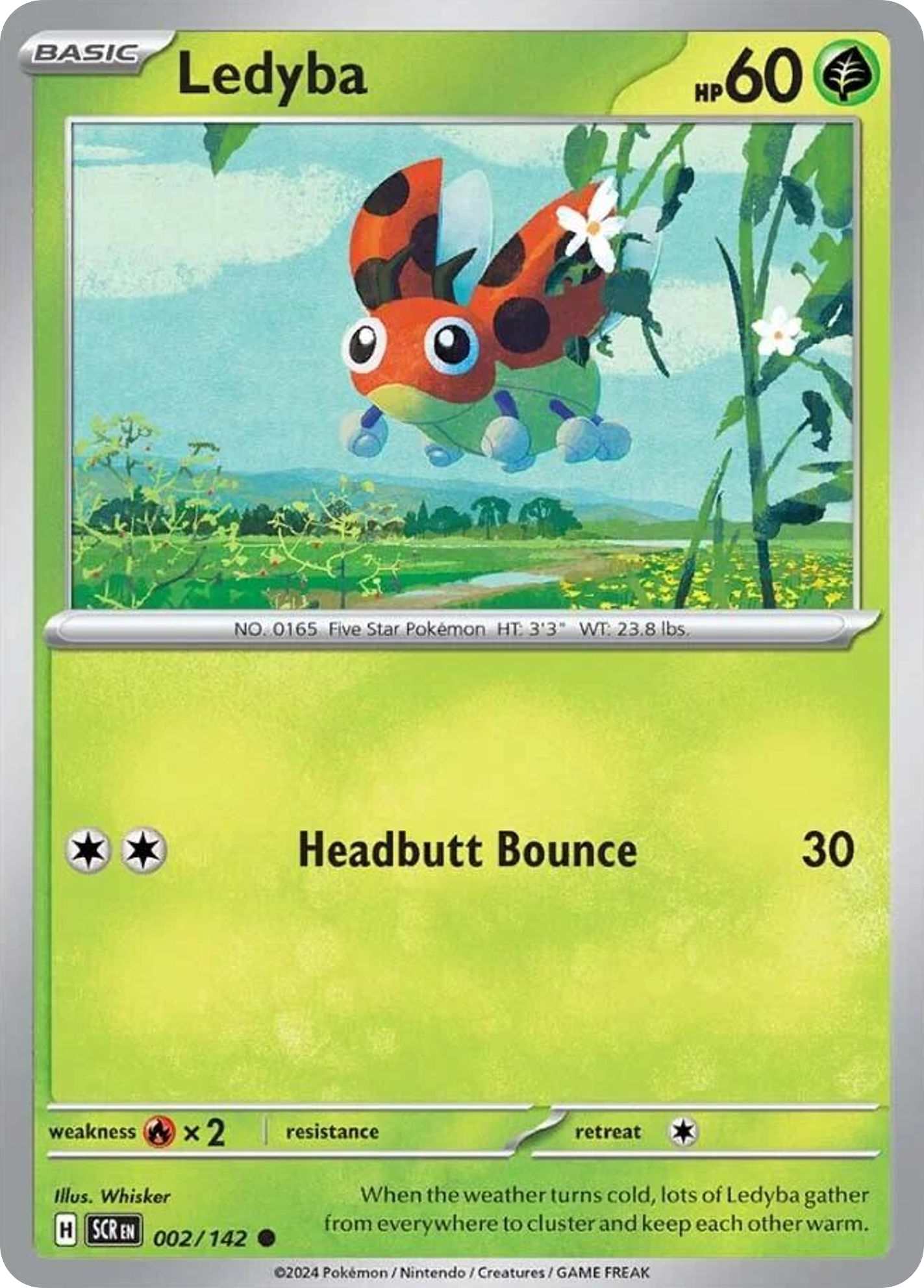 2/142 [SCR] Ledyba - Common