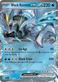 48/191 [SSP] Black Kyurem ex - Double Rare