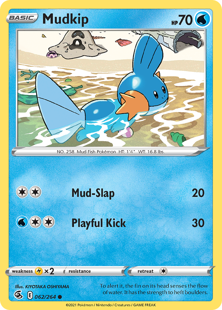 62/264 [FST] Mudkip - Common