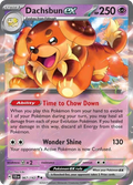 67/142 [SCR] Dachsbun ex - Double Rare