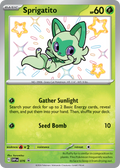 76/215 [PR-SV] Sprigatito - Promo