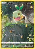 GG31/70 [CRZ] Turtwig - Trainer Gallery Rare Holo