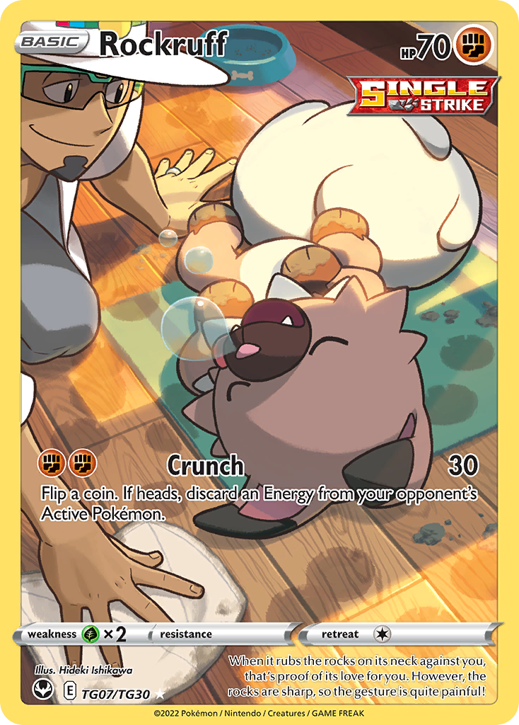 TG07/30 [SIT] Rockruff - Trainer Gallery Rare Holo