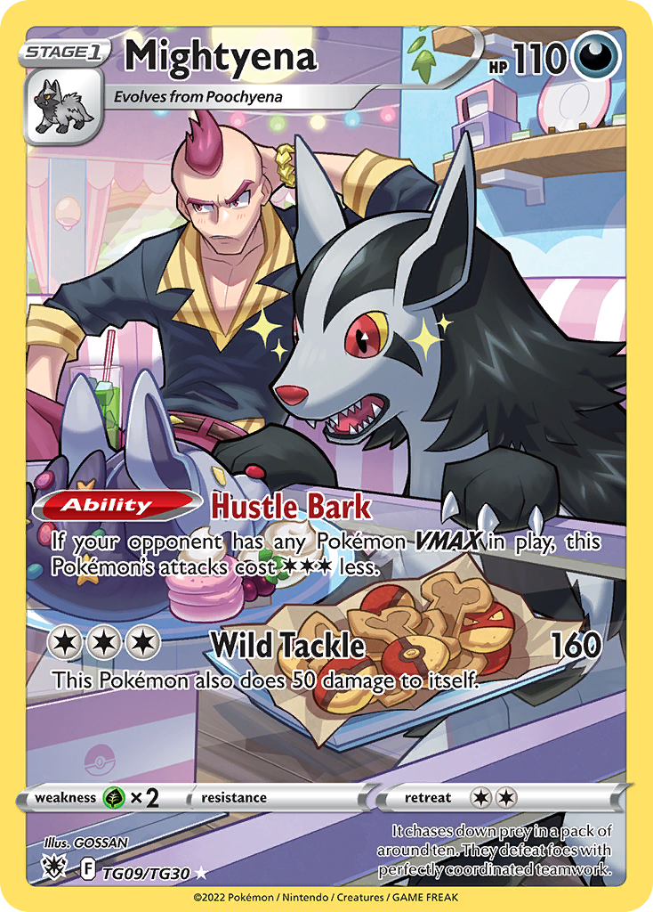 TG09/30 [ASR] Mightyena - Trainer Gallery Rare Holo