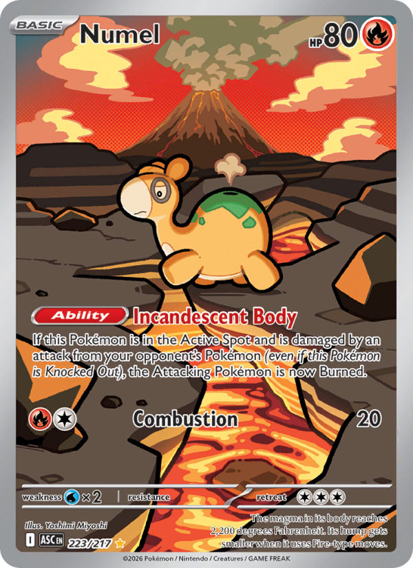 223 [ASC] Numel -
