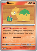 027 [ASC] Numel (Reverse Holo - Quick Ball) - Common