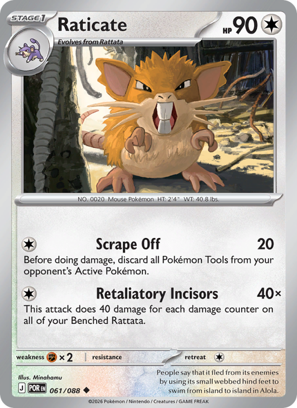 061 [POR] Raticate (Reverse Holo) - Uncommon