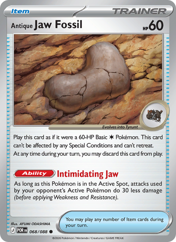068 [POR] Antique Jaw Fossil -