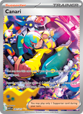 291 [ASC] Canari -